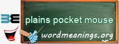 WordMeaning blackboard for plains pocket mouse